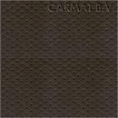 Kunstleer Mercedes geperforeerd brasil op=op