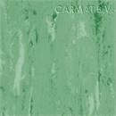 Vloer Gerflor Streamo Seacrosser 1037 Medium Green per/40m²